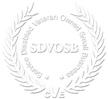 Service-Disabled Veteran-Owned Small Business